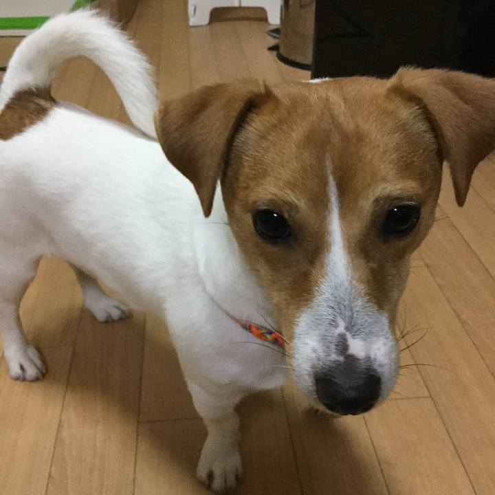 Eb488e85 9fab 4ce0 879b 0bacb85eba4c