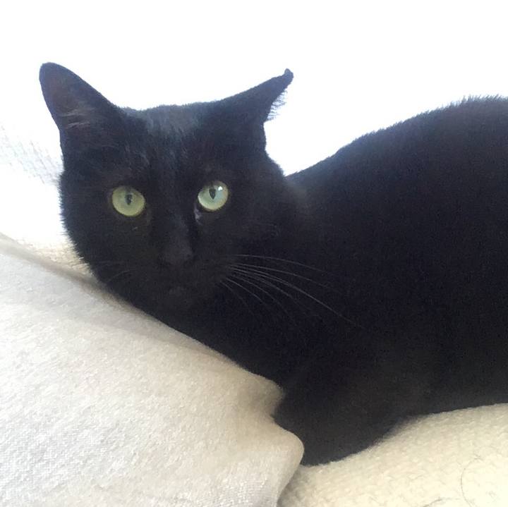 Eb48bfa5 95be 446b 9261 0ac646b141c1