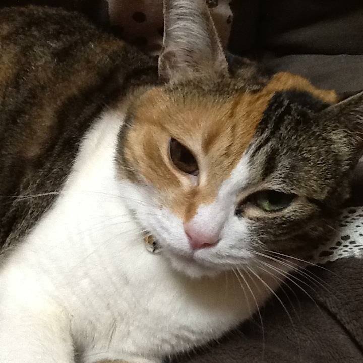 Eb49d037 2abb 4f3d 8d4d 9392c9fafa80