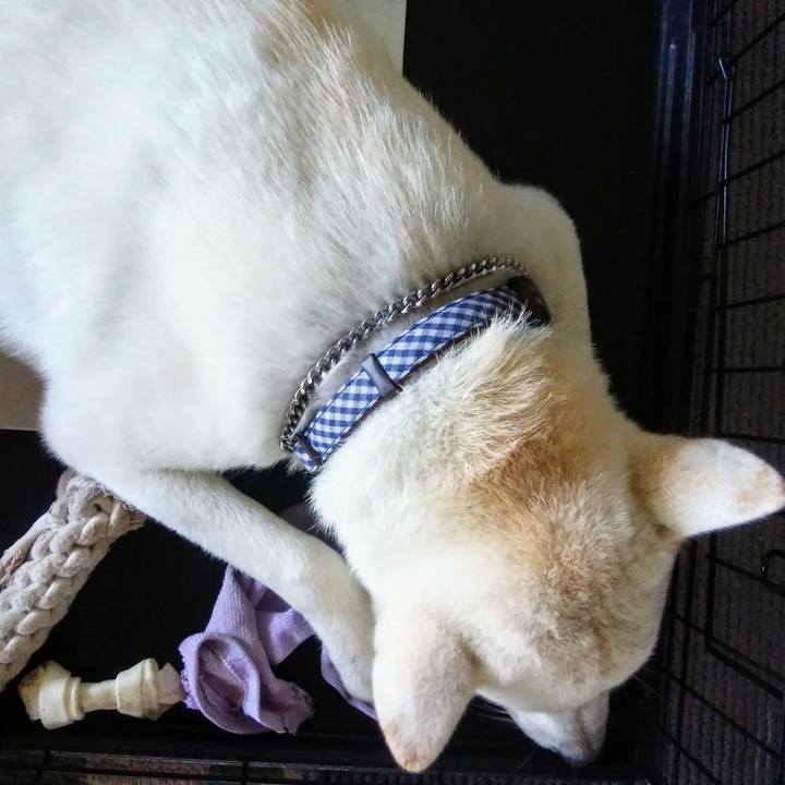 Eb49f827 1793 4db9 9b62 a6935d4b324b