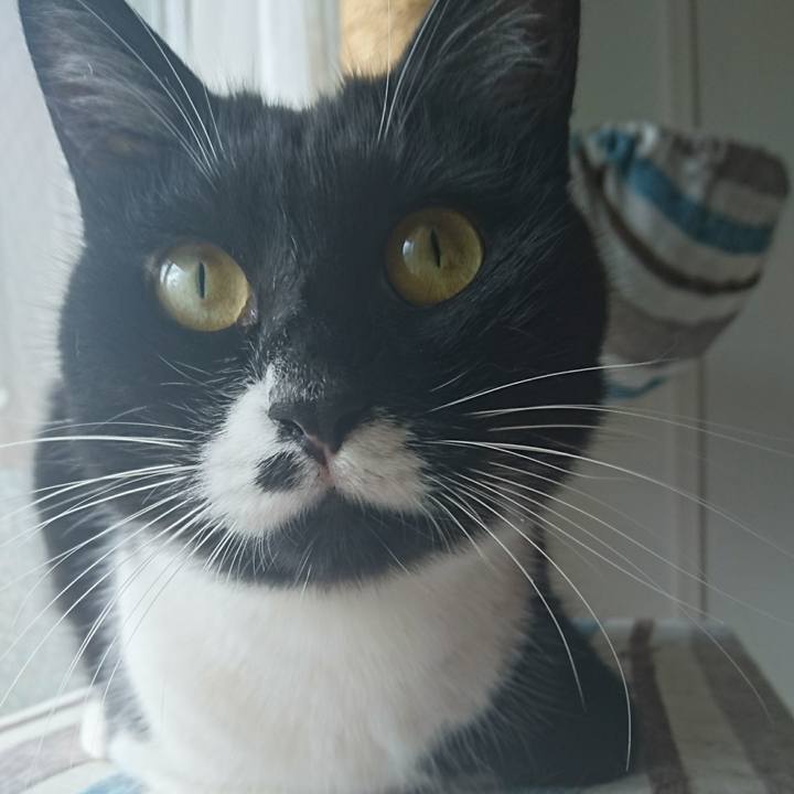 Eb4aac40 448d 4edc b296 c12650cc3799