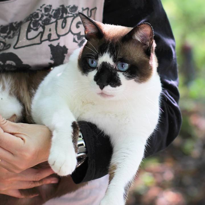 Eb4abb7a 0cf7 4682 8cac 875752beaa5b