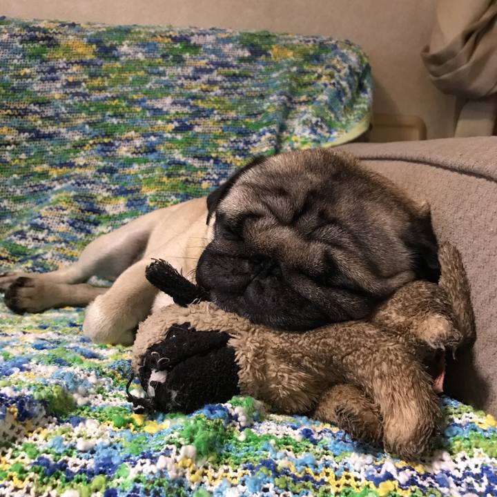 Eb4ad0d5 9333 4247 81c5 f9540863511c