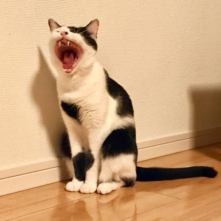 Eb4aed46 04cd 4077 b7e6 a96a63aec41b