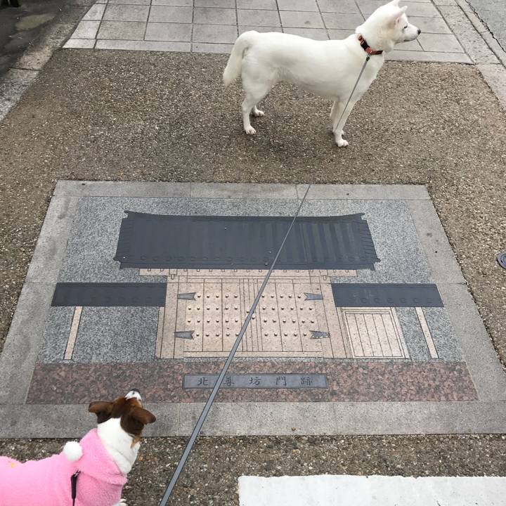 Eb4b579d db6f 4b7f ae35 9264be9cba75