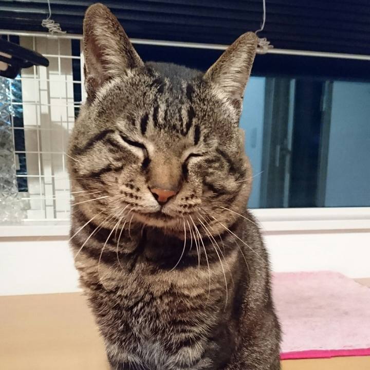 Eb4b6601 9e89 4df2 8c21 b1e05a791382