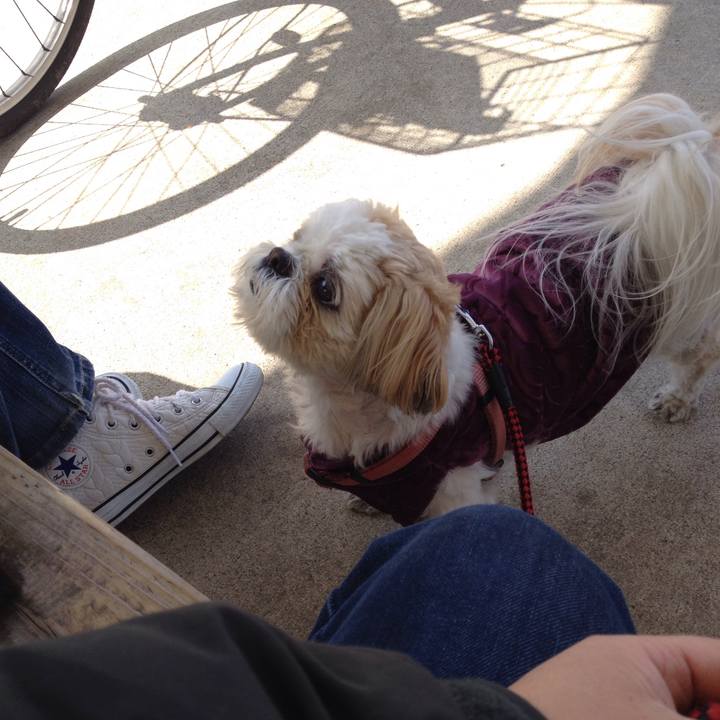 Eb4b8a8b b2aa 43d7 8ad6 1a4c303b8865