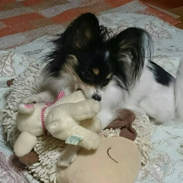 Eb4bf160 4ecc 47e4 b879 7d255df8b90f