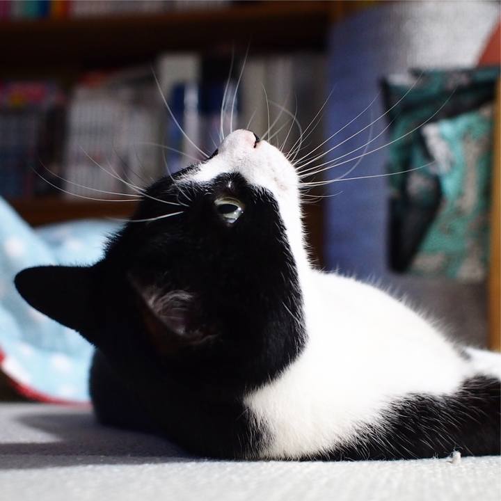 Eb4c2160 990b 47c2 8ddc 0fa8d1132e41