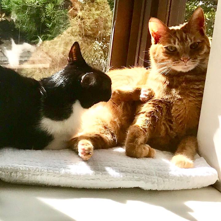 Eb4c7176 de3e 4293 a2a2 409fe17dd3b4