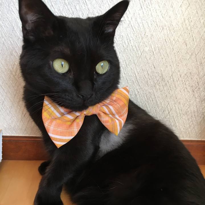 Eb4d14d2 46e0 4a9f 8734 7e9f937d886e