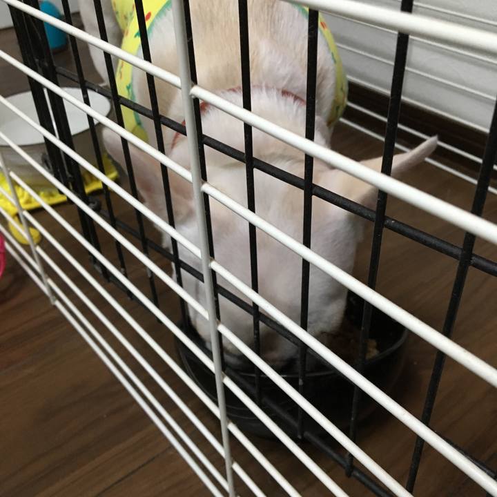 Eb4d5a2f 0a02 47e3 96d4 ea5c29d1e157