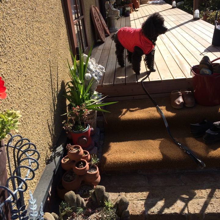 Eb4d5d99 ff8e 4b18 a556 81b175827bfe