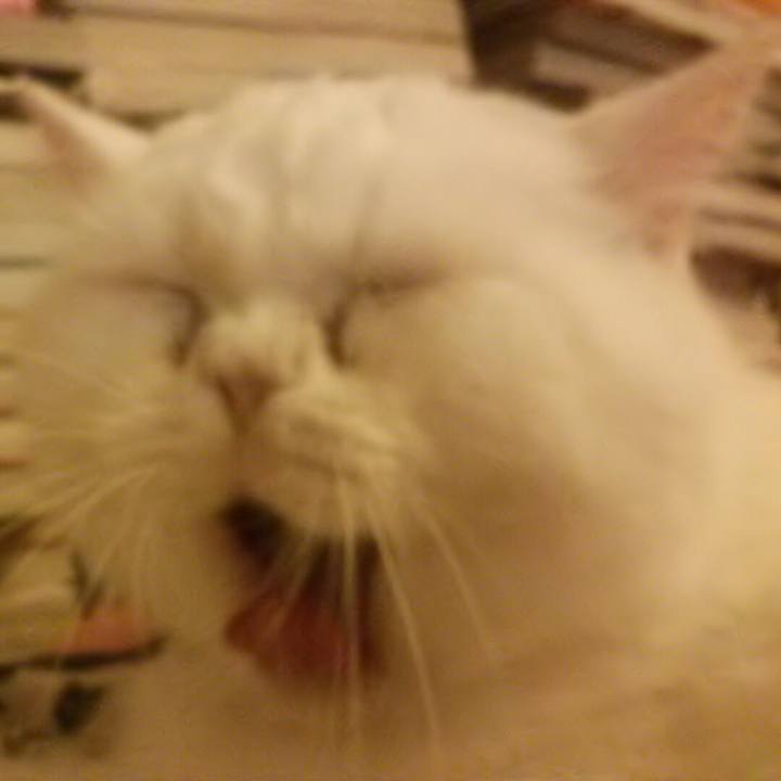 Eb4d71d9 8730 47fc 871c 19bbfc01c4cb