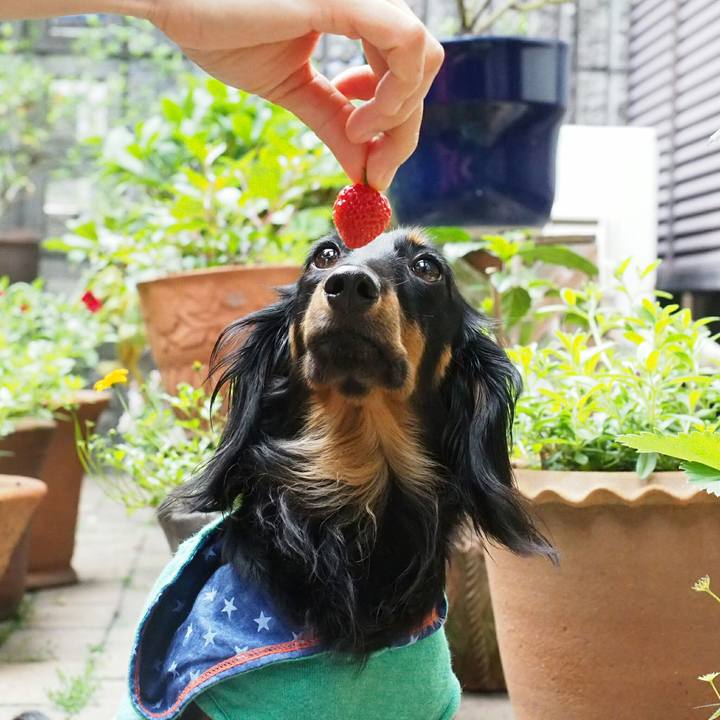 Eb4e4fd9 de5d 4799 aa41 fb4ff4994b80