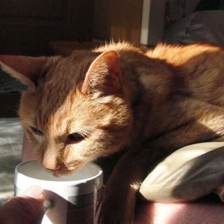 Eb4e9b6d 7ef7 4b54 9758 c224bf6bc4d9