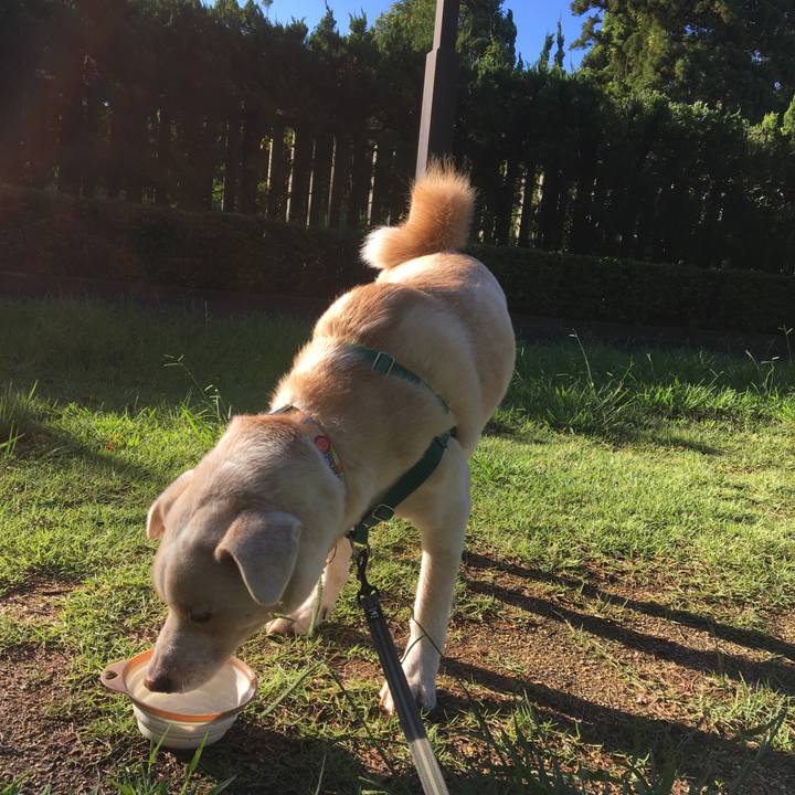 Eb4fae1c dc4e 4a3f 8100 77e9658fae2e