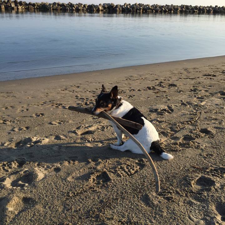 Eb4ff41a 0650 465d a6fb 8f6880182352