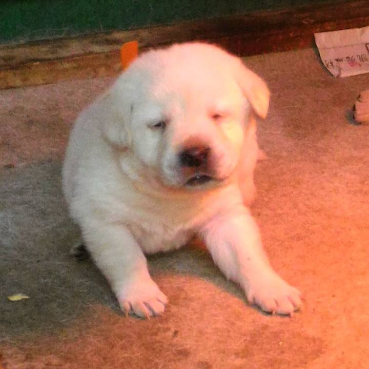 Eb5123ad 6a8e 489e 998e c7caa76eea73