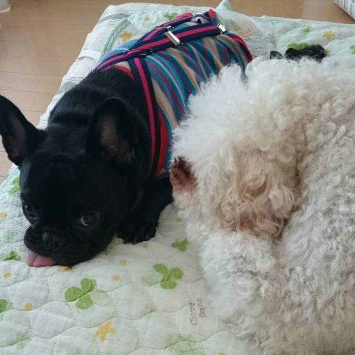 Eb513ba1 c790 4939 92b3 906e29d8122e