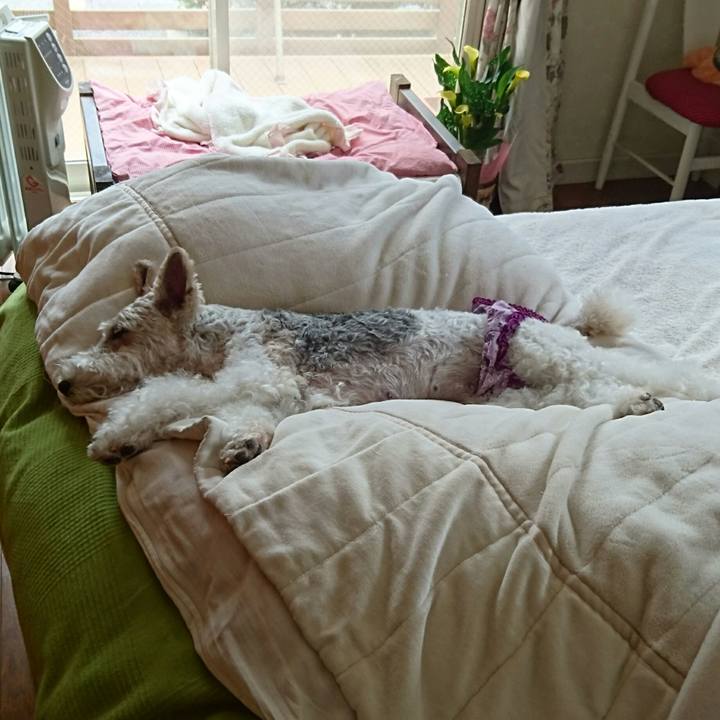 Eb517f2a 4d93 48d0 b0de c57a357cacaa