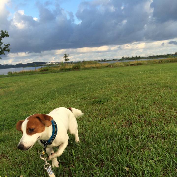 Eb51c14a 97cd 4d6a 891b cbd7b97b2f84