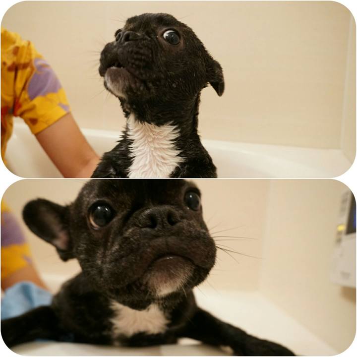 Eb51d8d9 1e0e 4d2a 91c3 61e1bf60f050