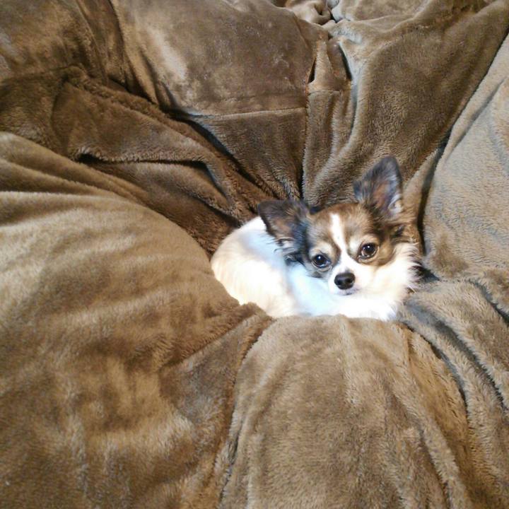 Eb523d38 4999 49fe 8f68 02a8237d830f