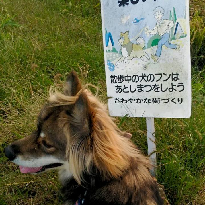 Eb52bc37 0ce4 4359 aa54 33671df47621