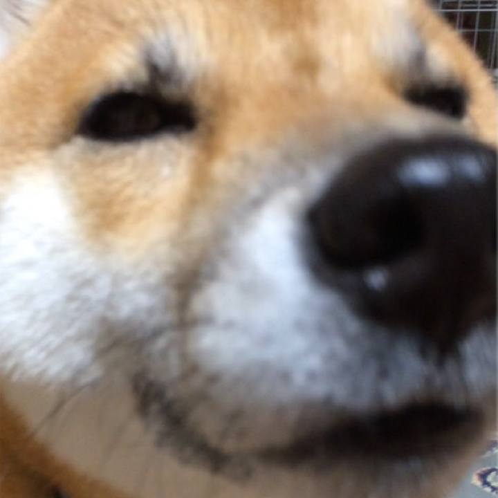 Eb52d66d 35e9 40b0 a8d9 fbe04daa646d