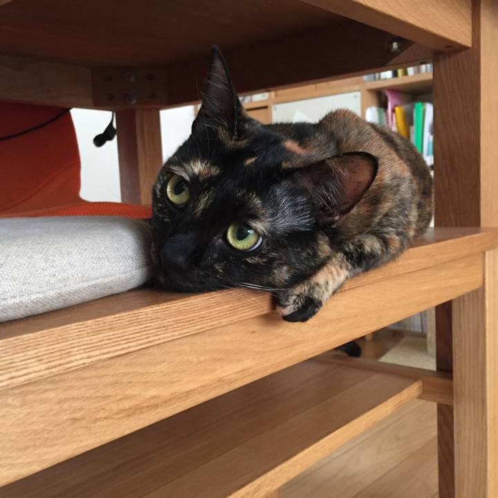 Eb52eeba a8fe 4288 82f1 b0ccec9baf61