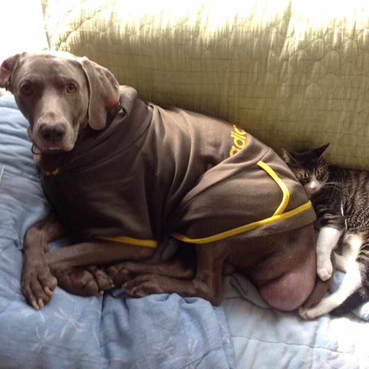 Eb530e49 a1cc 40c4 85d7 d283c9bc8369