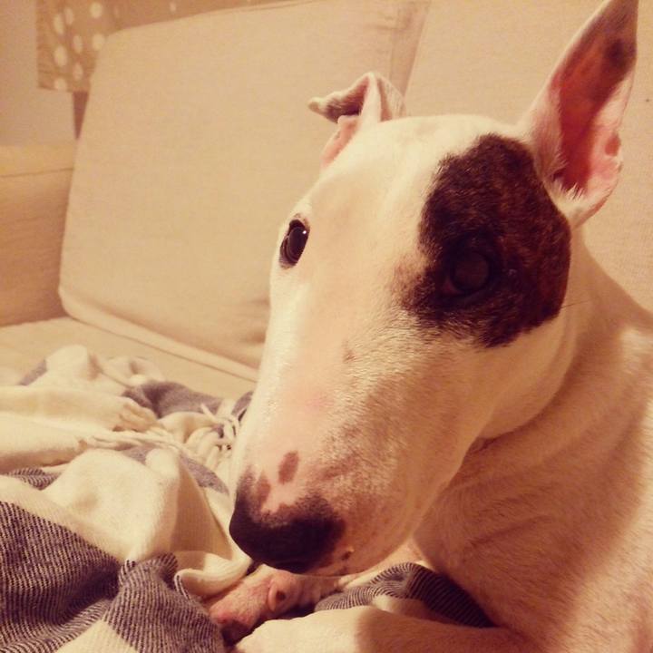 Eb5361bc c6a9 4c0c 8465 010edc5e0931