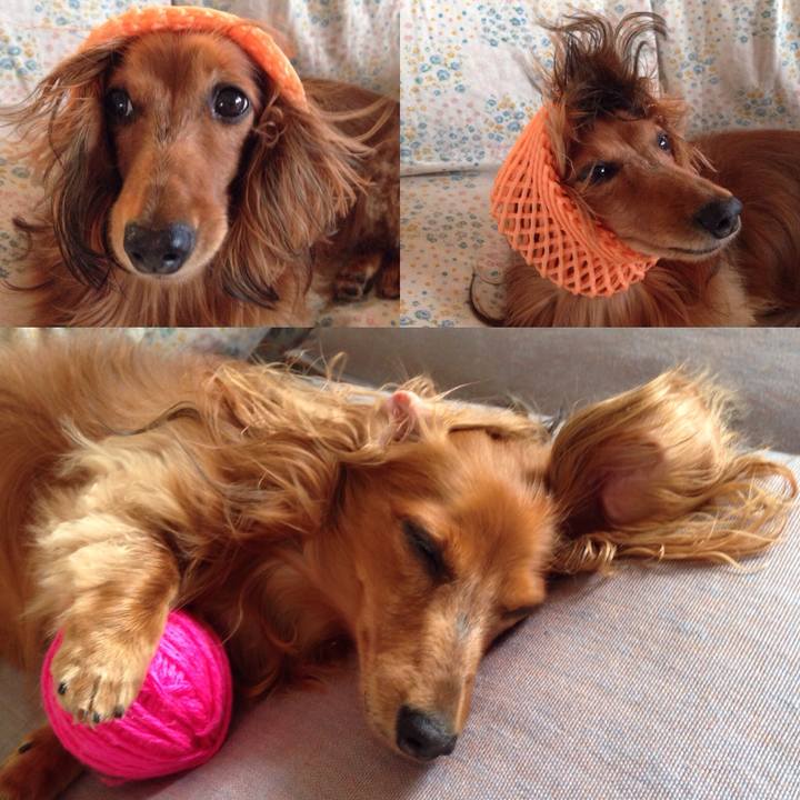 Eb538979 f363 4c39 bb34 e47eda9113b3