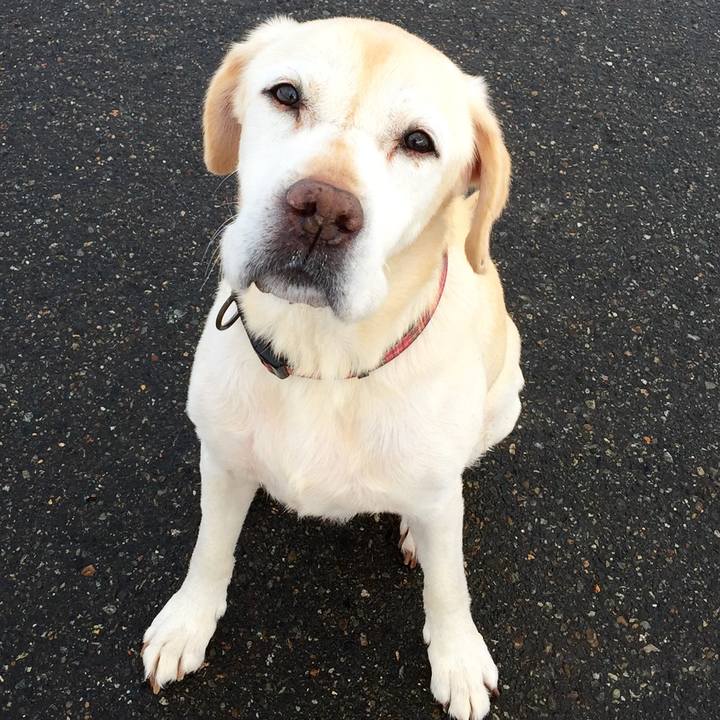 Eb5514aa 77f4 4164 be9a e0f940352e2d