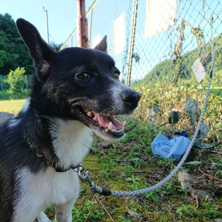 Eb5613db 4d52 49be 8bf7 f3b68aabf22e