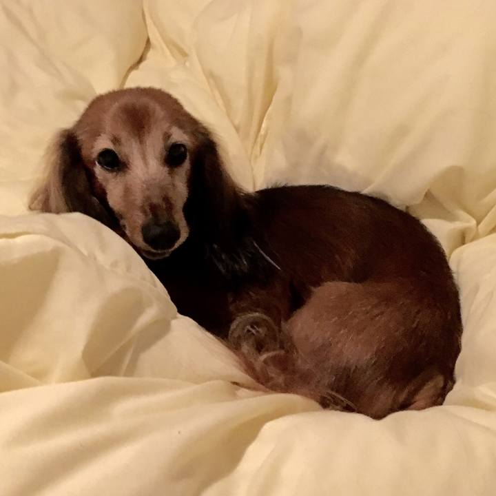 Eb563cbe b014 404f 880e 5a5ae1f9134c