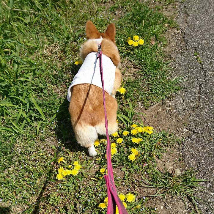 Eb56da0d 434c 4b84 9ce5 3d8901f79418