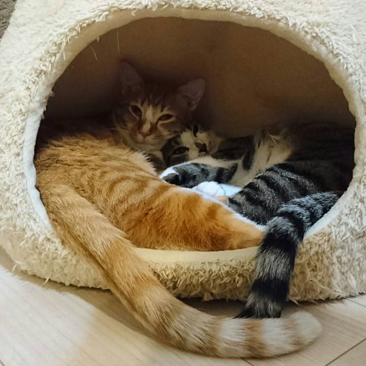 Eb57205e 315a 44d8 9c76 6a3482a1bbdd