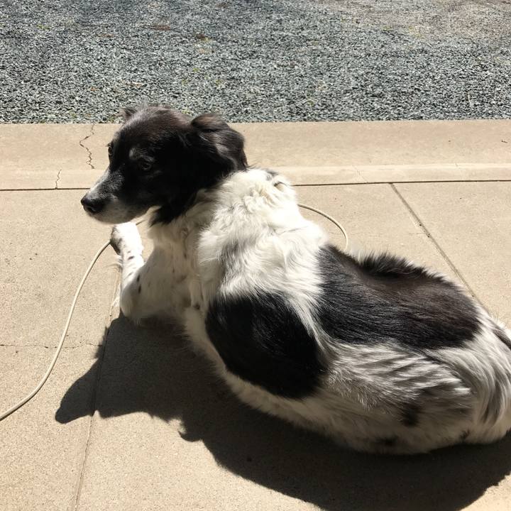 Eb575ac7 a99d 4526 b065 f941ae07c9a1