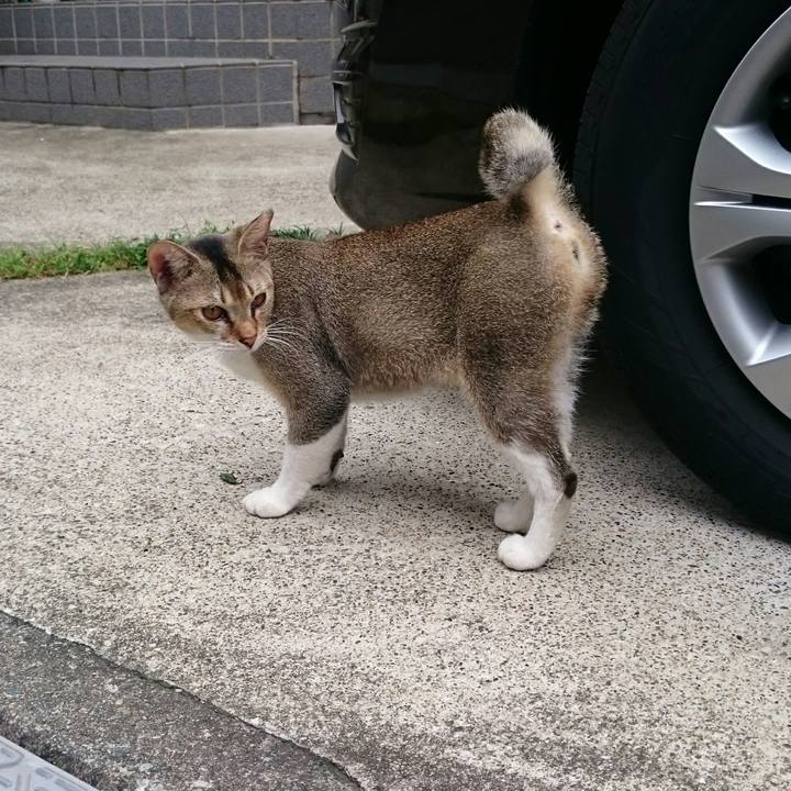 Eb577ae7 e203 418f 88cf 8e0e8c033576