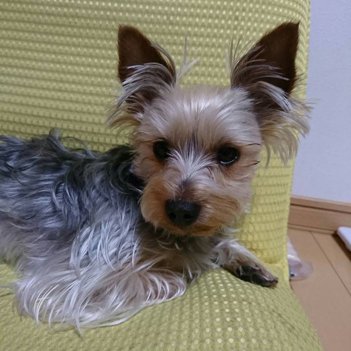 Eb57ad58 54fd 4230 ad05 a950bcd509ca