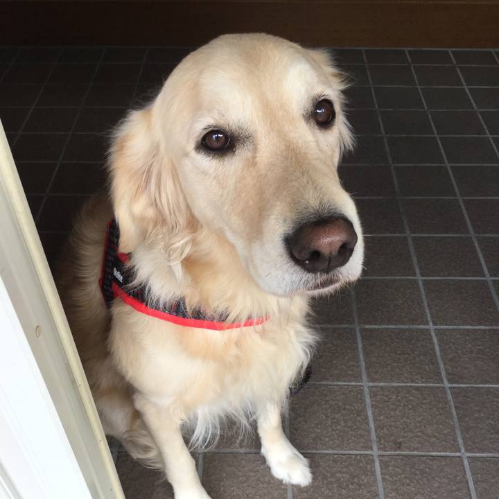 Eb586b26 6255 41a3 b6eb 76f07bde9e28