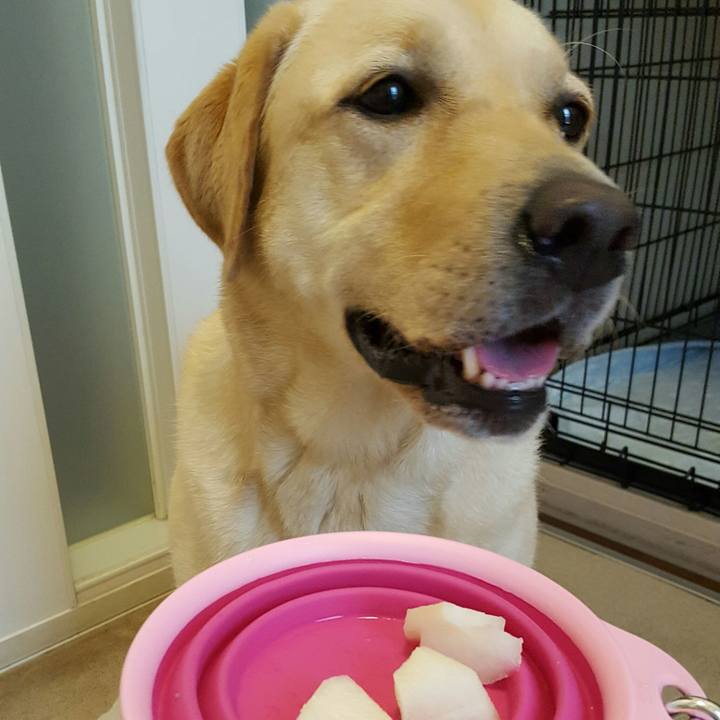 Eb588364 7a7b 4bae 9275 da222ba684fa