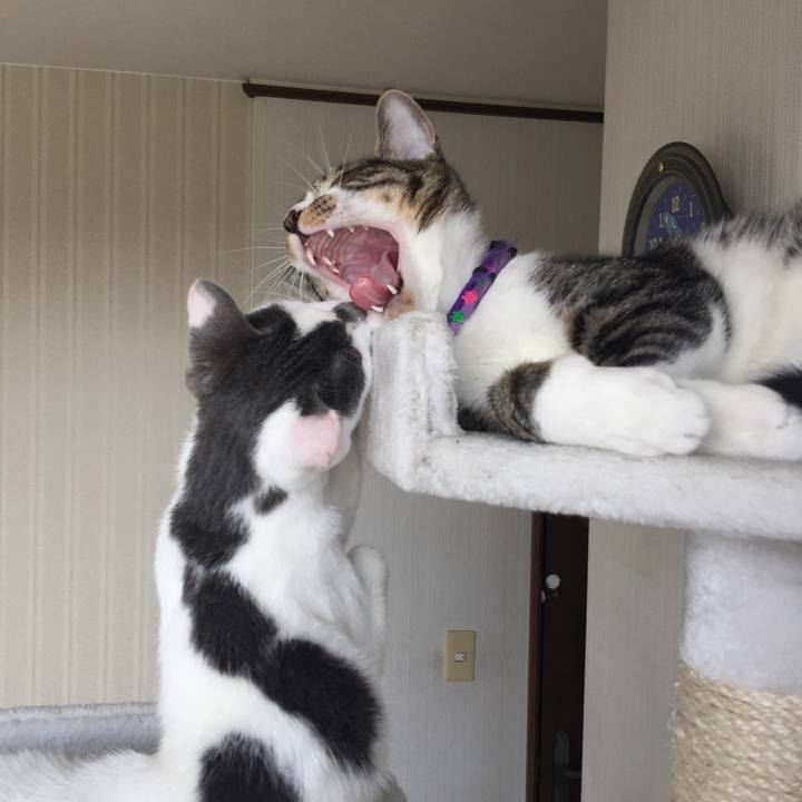 Eb590a27 7d28 46f0 b66a ba4bf6fbd94f