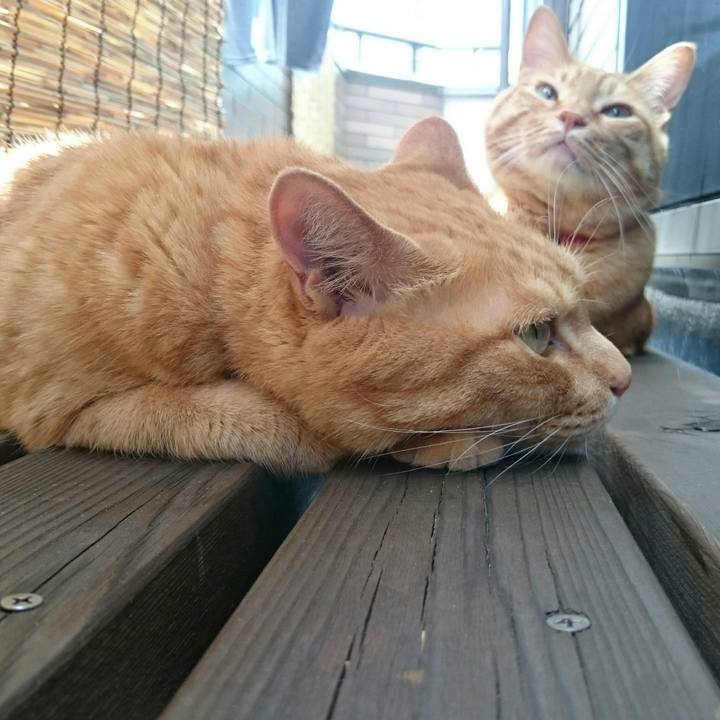 Eb594dc2 e561 4176 a85d a8837b1b41b0