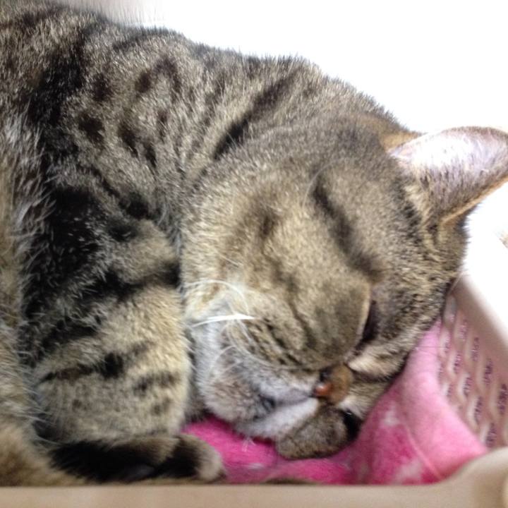 Eb59ef26 949c 4b6e a7a8 de3964e8cacf