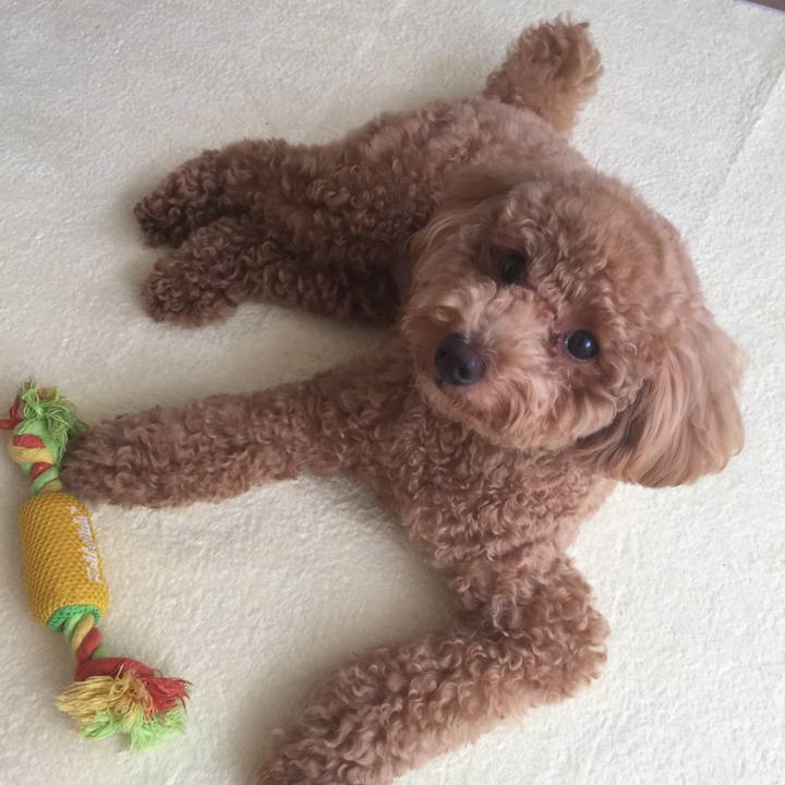 Eb5a3a03 b6a2 4a5e b279 4e88a4b9d3ed