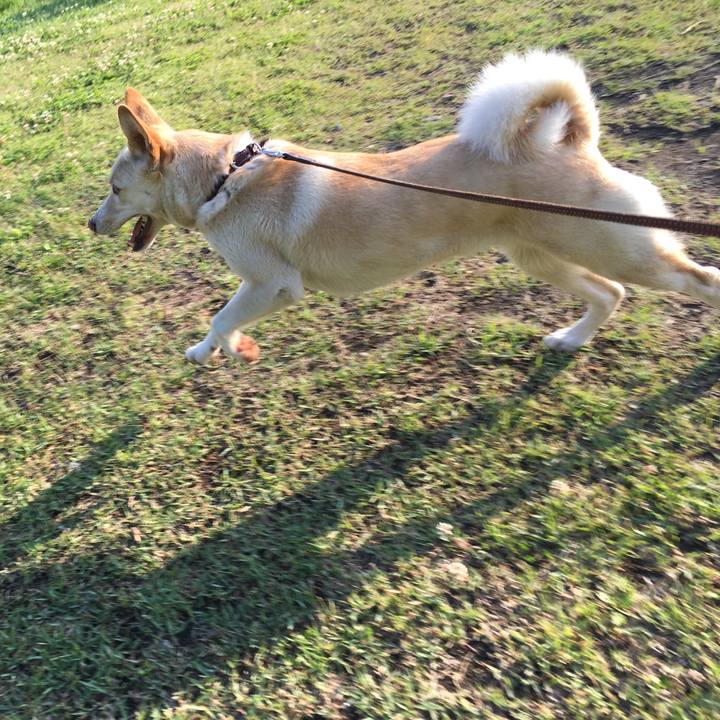 Eb5a3b90 0fbd 43e5 8fb1 93957b8bff42