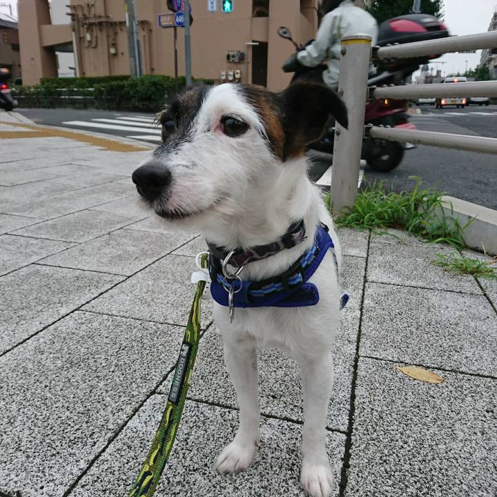 Eb5a6ade 6d33 4c79 813b 07e8a6c37318